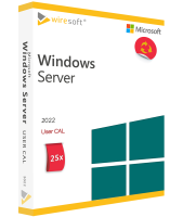 Microsoft Windows Server 2022 - 25 Pack User CAL Microsoft Windows Server 2022 - 25 Pack User CAL