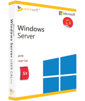 Microsoft Windows Server 2019 - 5 Pack User CAL Microsoft Windows Server 2019 - 5 Pack User CAL