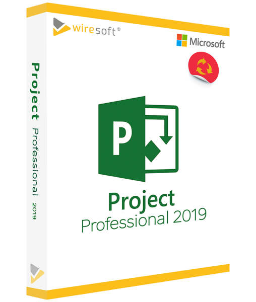 MICROSOFT PROJECT 2019 PROFESSIONAL